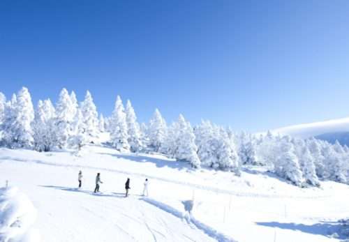 Shiga Kogen