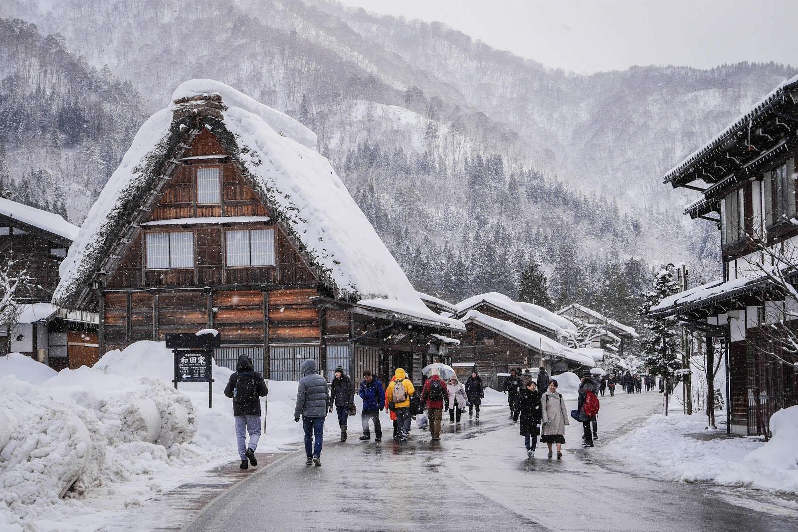 Butuh Liburan Ke Jepang? Kunjungi 7 Tempat Wisata Musim