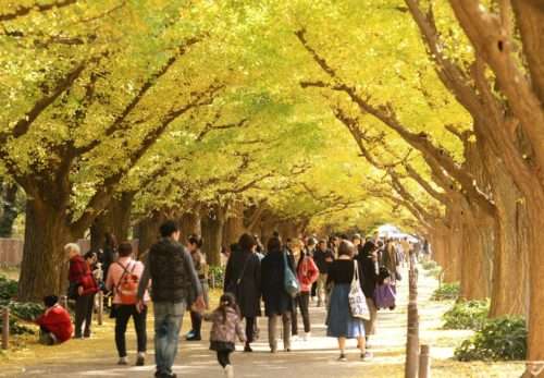 Taman Meiji Jingu Gaien