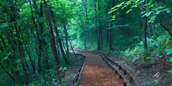 Karasugawa Park